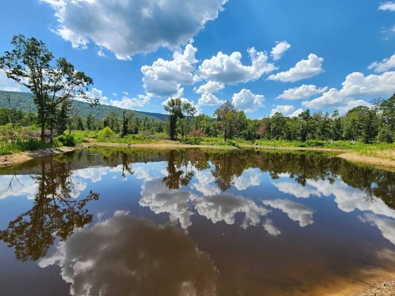 Oklahoma Land with Mountain Views