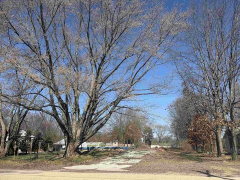 Residential Land with Mature Trees