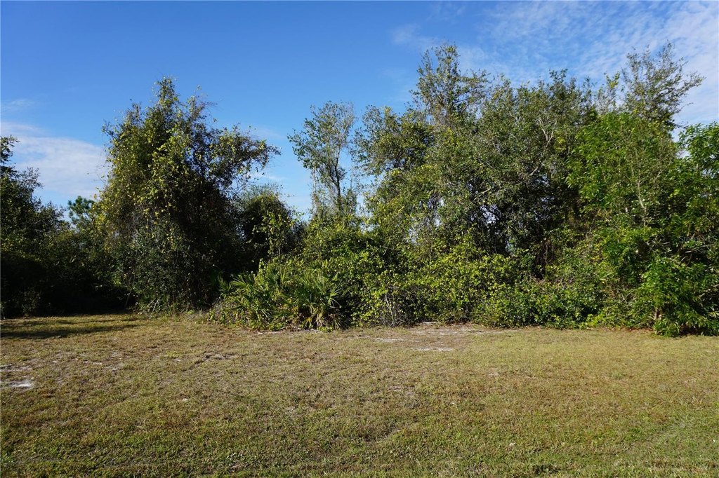 Picture 8