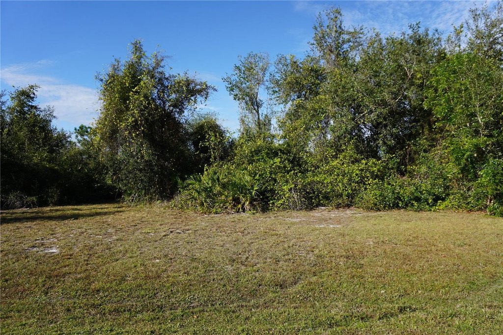 Picture 7