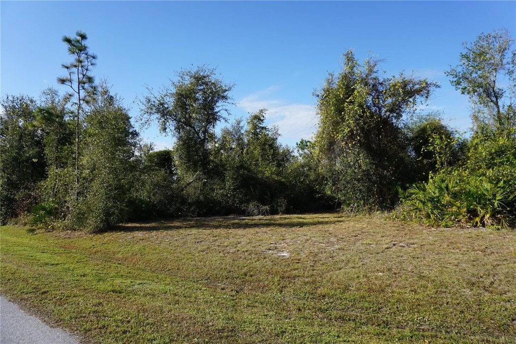 Picture 6