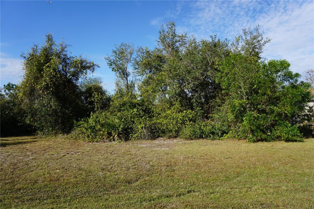 Picture 3