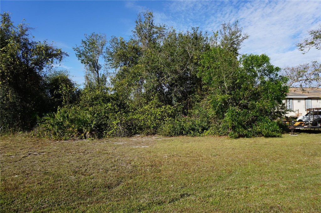 Picture 9