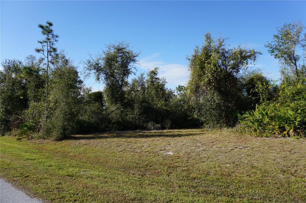 Picture 10