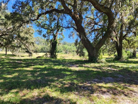 Land, MORRISTON, FL