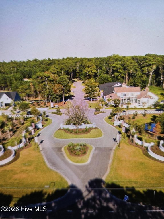 Picture 8