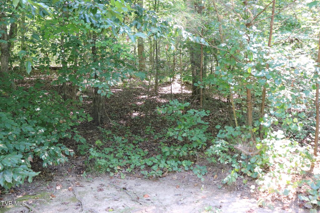 Picture 13