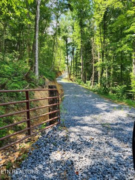 Cosby, TN Land For Sale