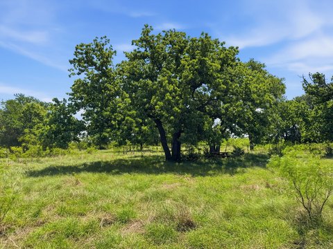 Rural Land Tract for Private Build