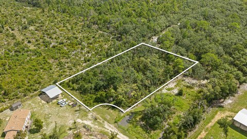 Land, Perry, FL