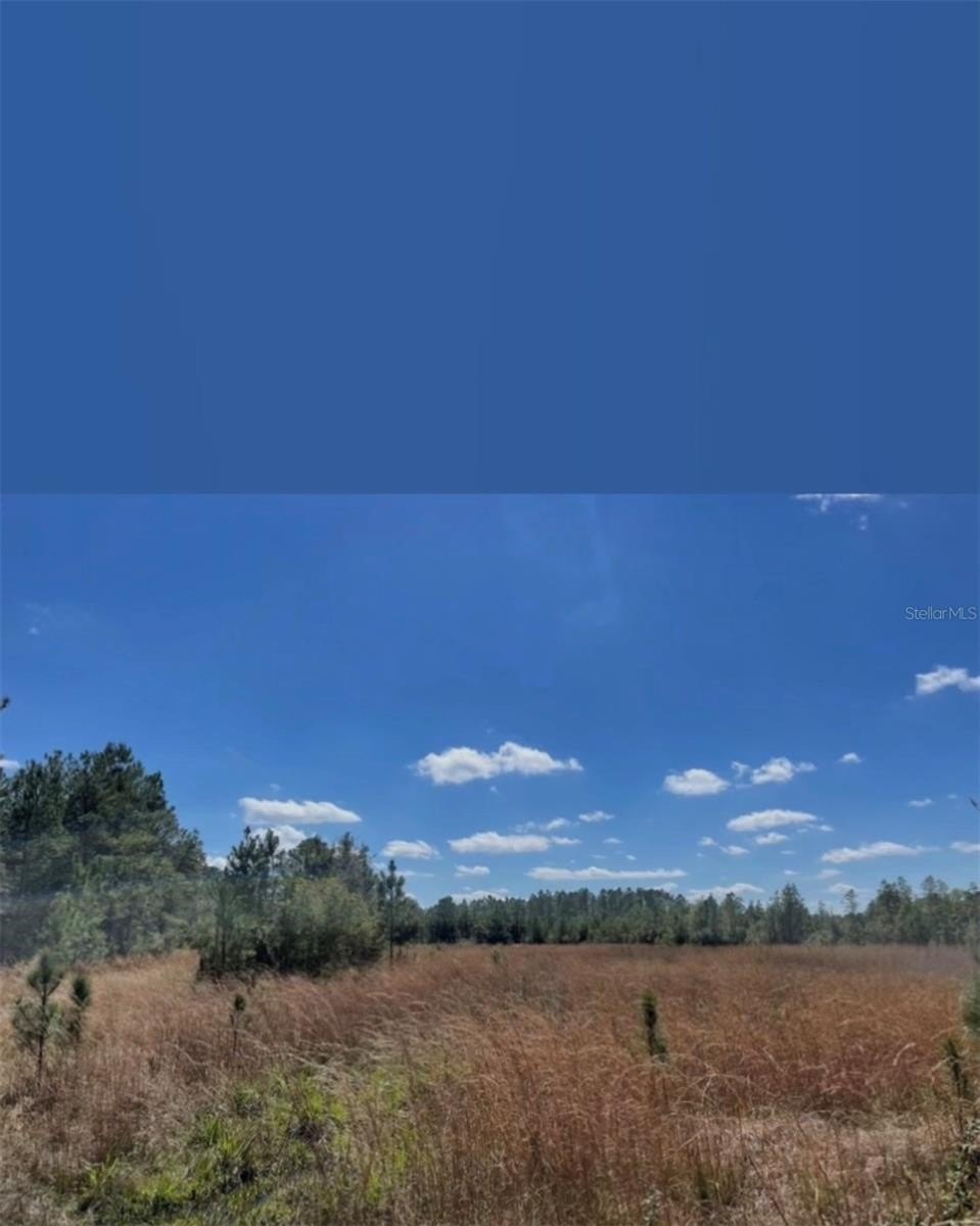 Expansive Land in Fort McCoy