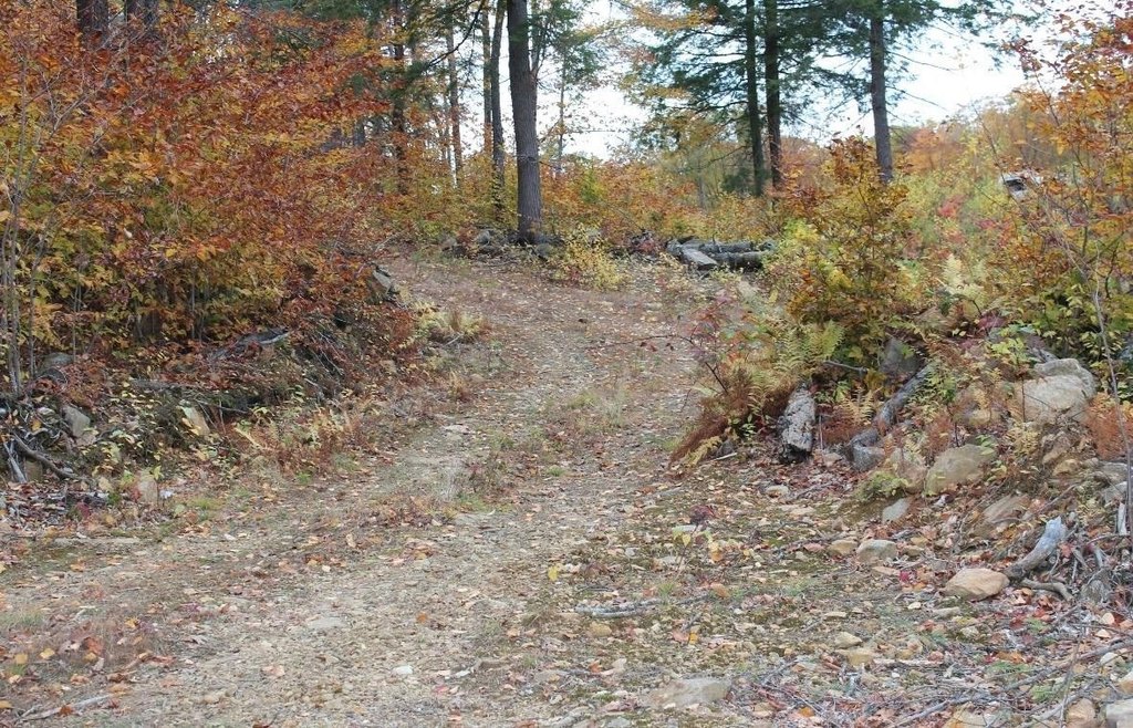 Picture 9
