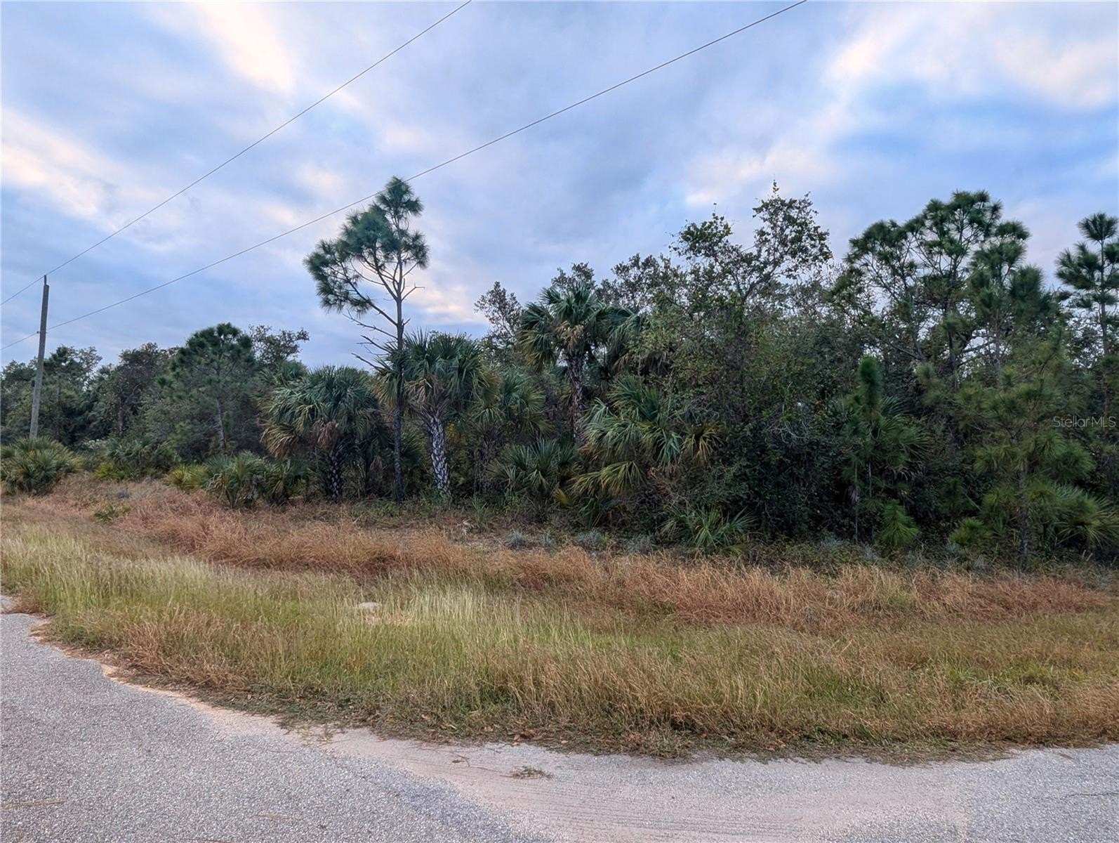 Oversized Corner Lot Ready