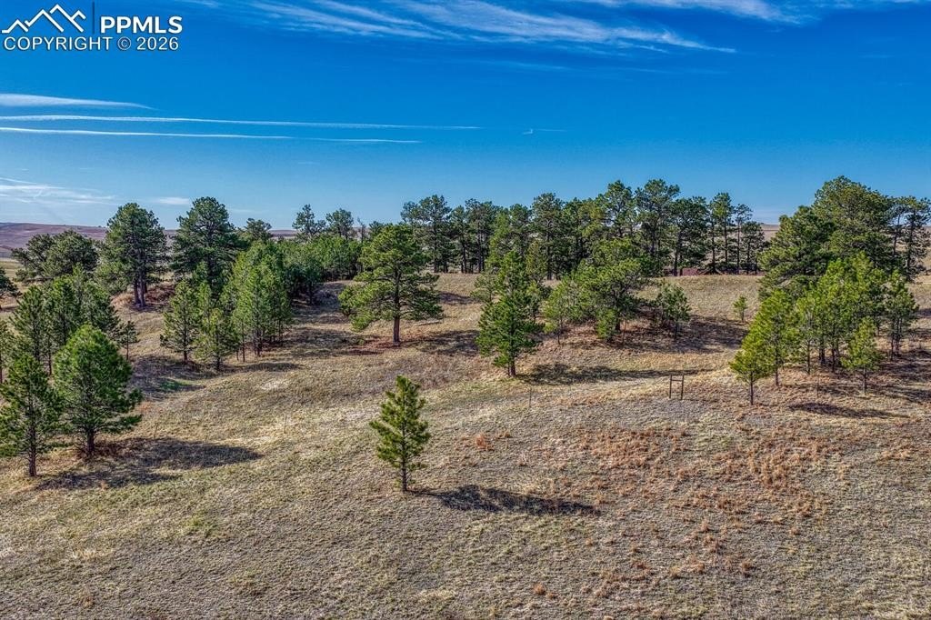 Colorado Land with Rolling Hills