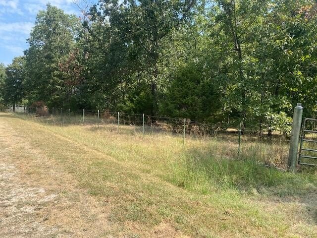 Picture 8
