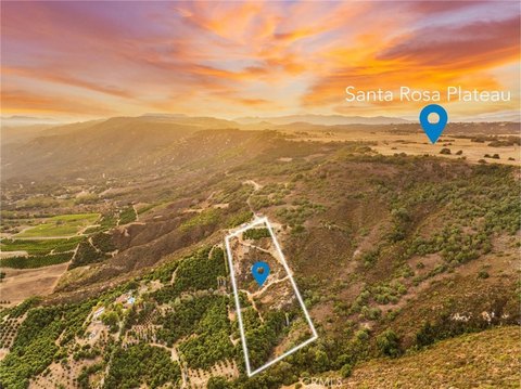 View Acreage Avocado Grove