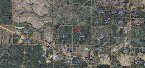 40 Acres Timberland in Mississippi