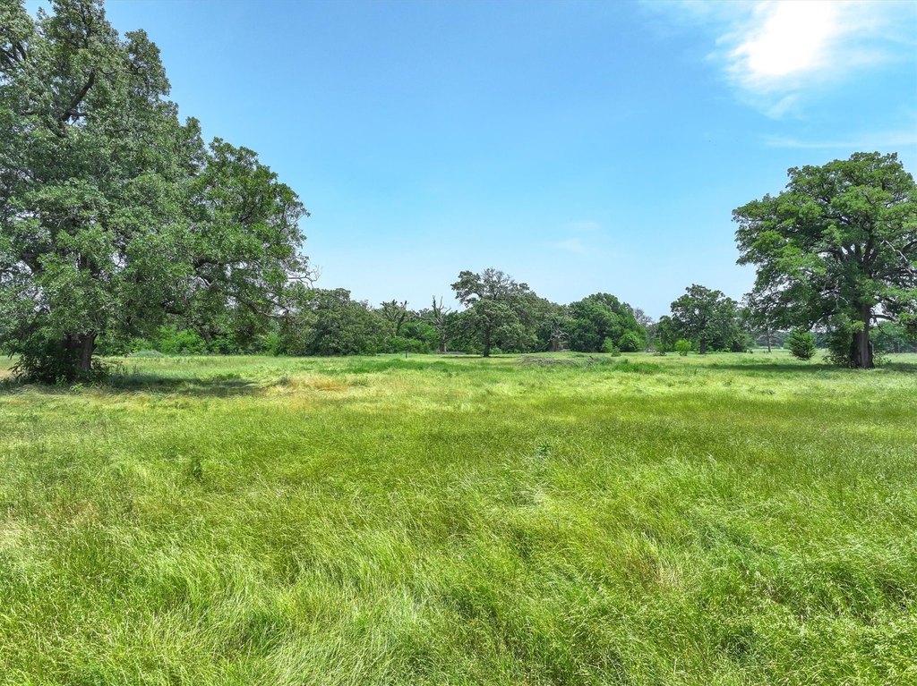 Picture 4