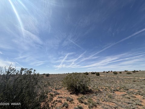 LAND - Snowflake, AZ
