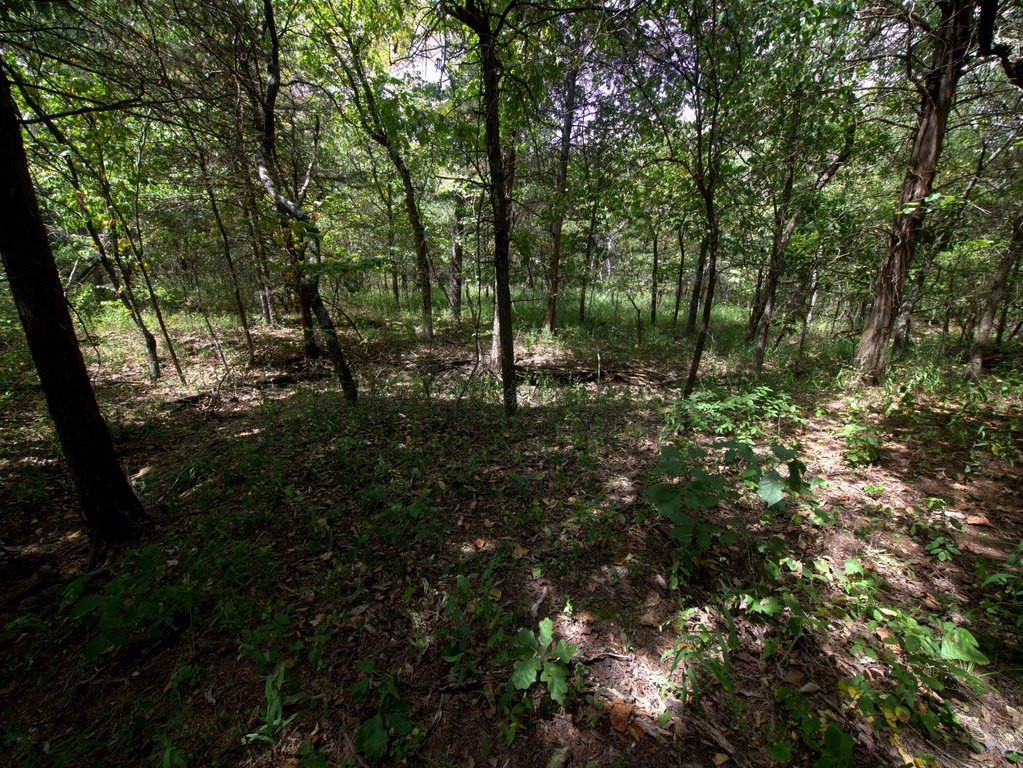 Picture 28