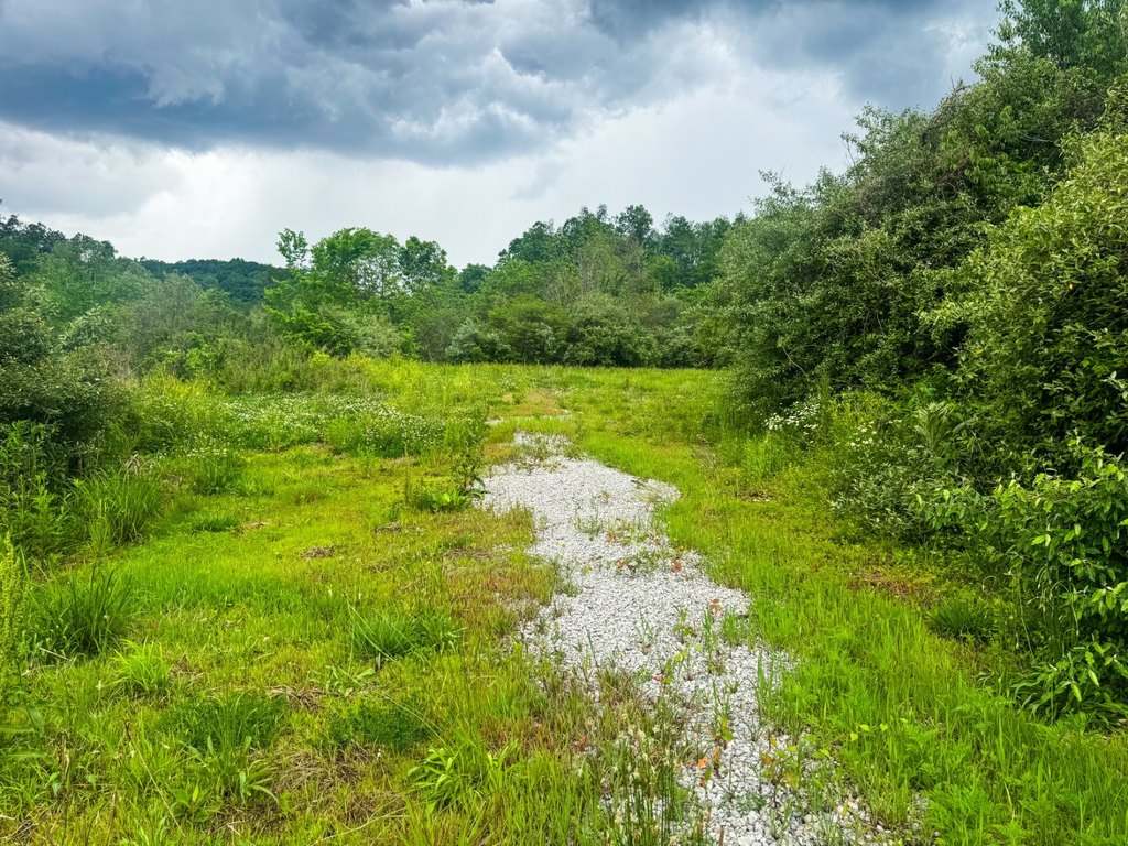 Picture 19