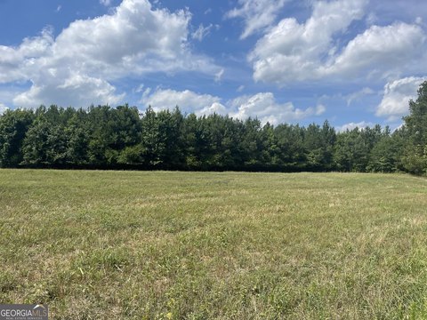 LAND - Sharpsburg, GA
