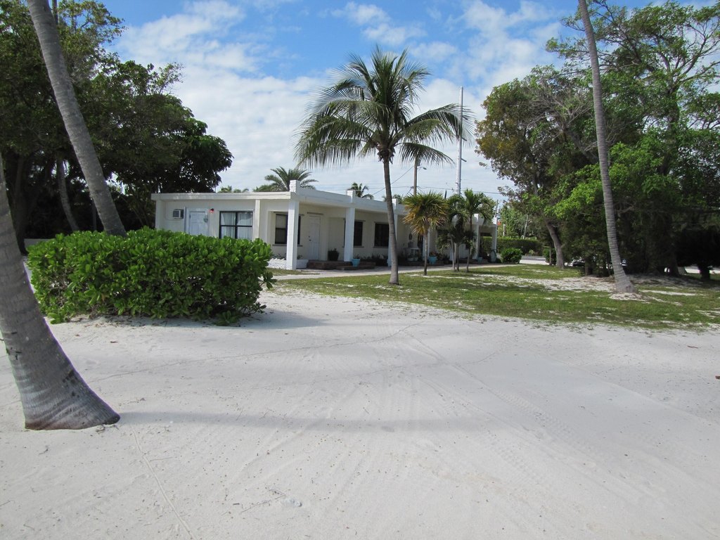 Picture 10