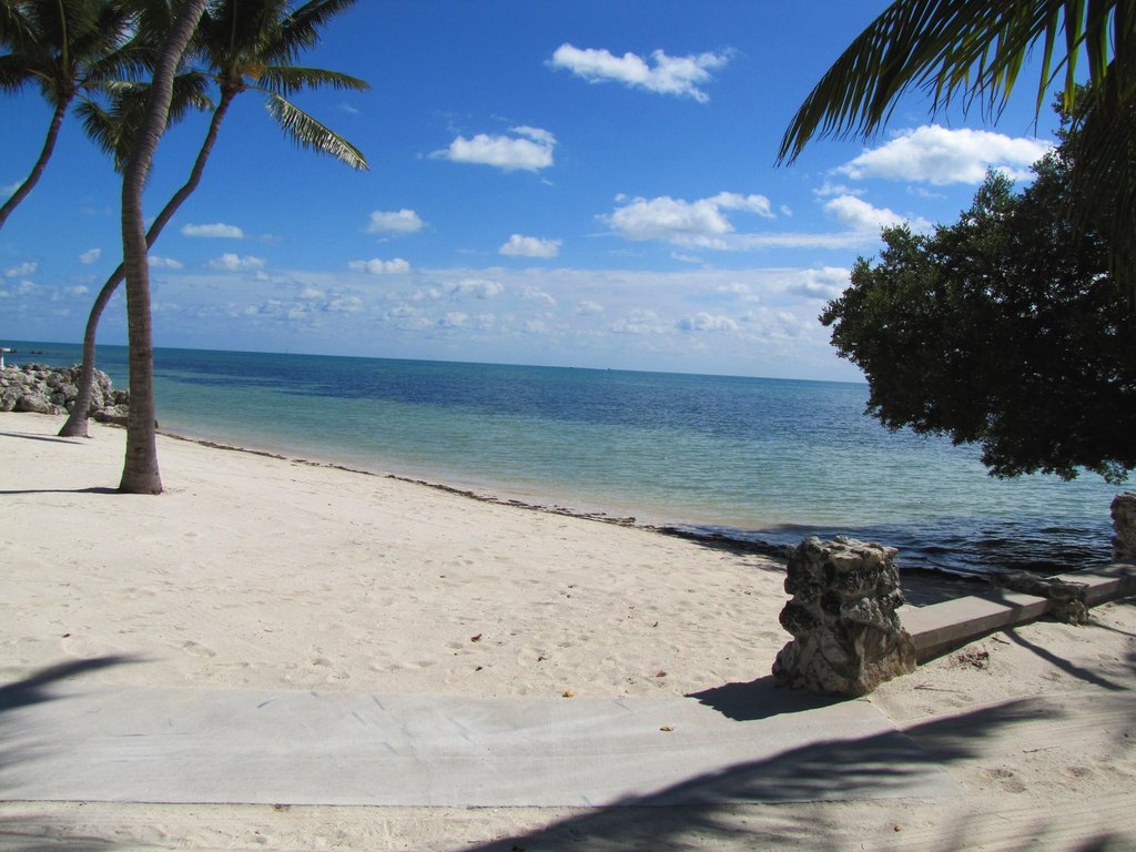 Picture 20