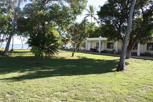 Picture 11