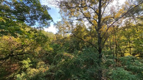 Land, Mammoth Spring, AR