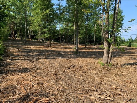 Commercial Land in Angola, NY