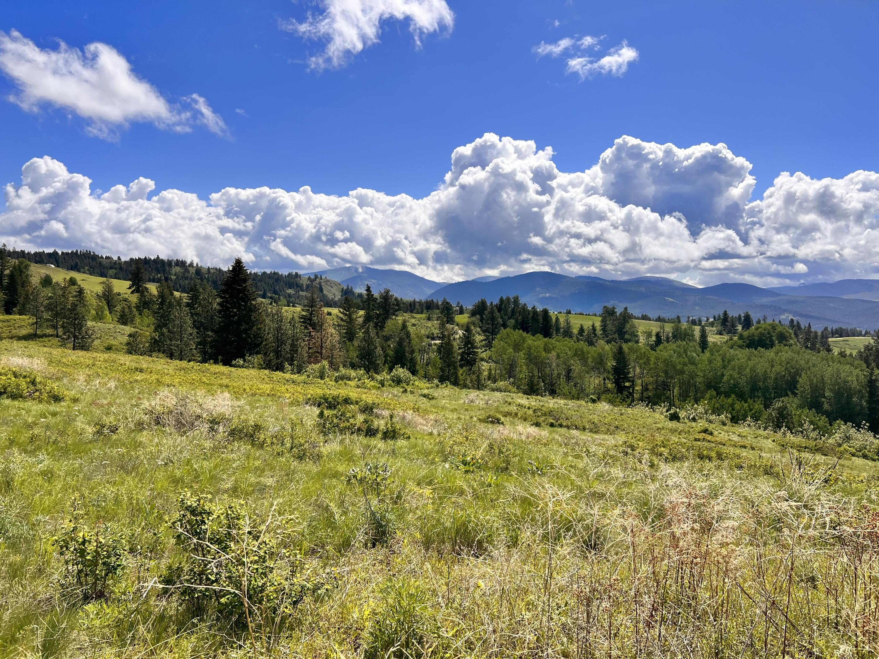 20 Acre Property with Views