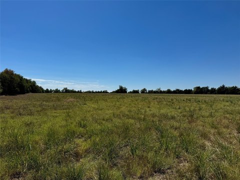 Undeveloped Land Near Paris, TX