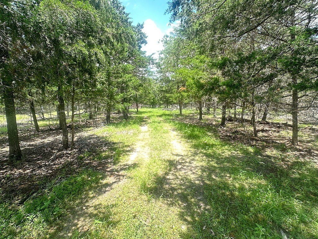 Picture 8