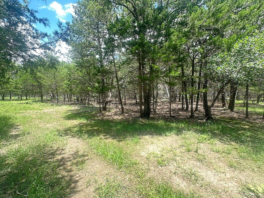 Picture 6