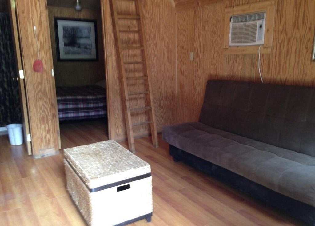 Picture 24