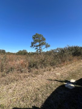 Residential Land Near Amenities