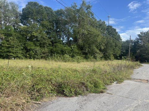 Residential Lot in Waynesboro, GA