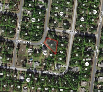 Citrus Springs Land Ready to Build