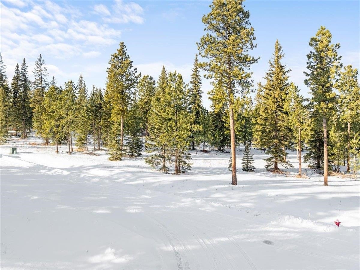 Residential Land in Powder House