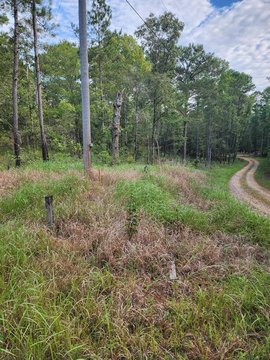 Lots/Land, Poplarville, MS