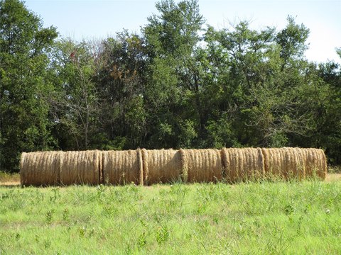 Rural Agricultural Land Tract