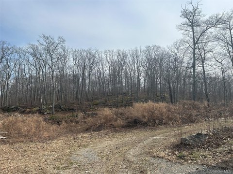 Holmes, NY Development Land