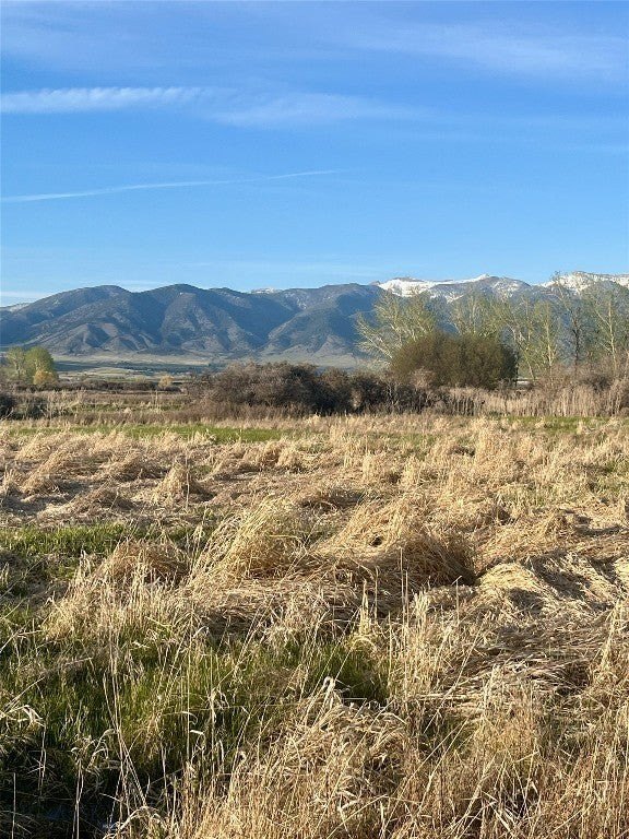 Picture 10
