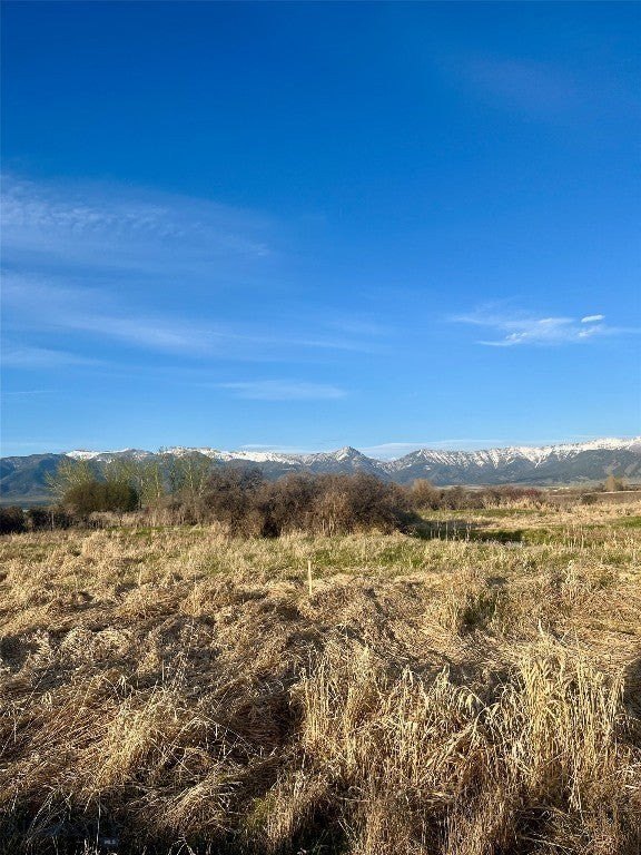 Picture 8
