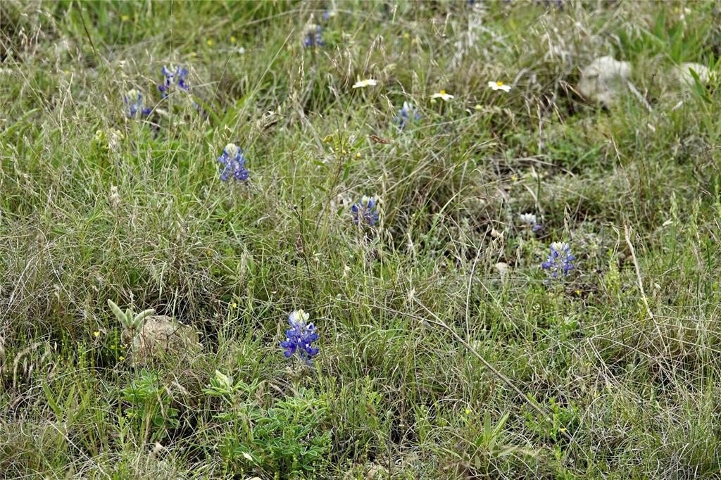 Picture 35