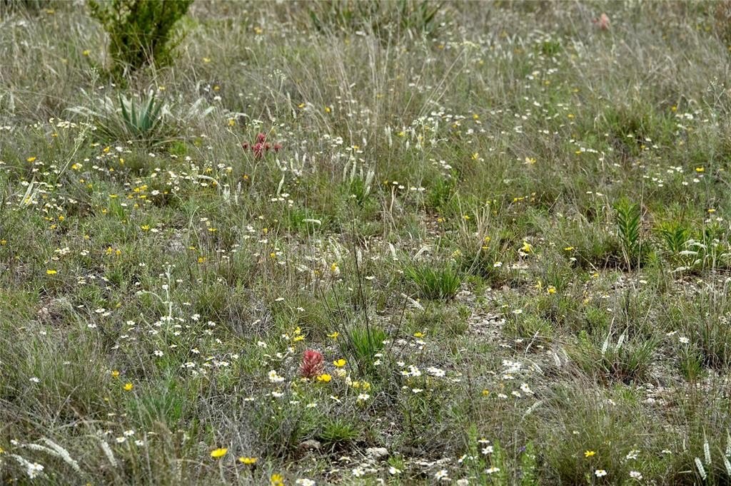 Picture 36