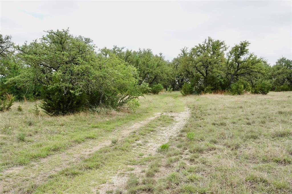 Picture 26