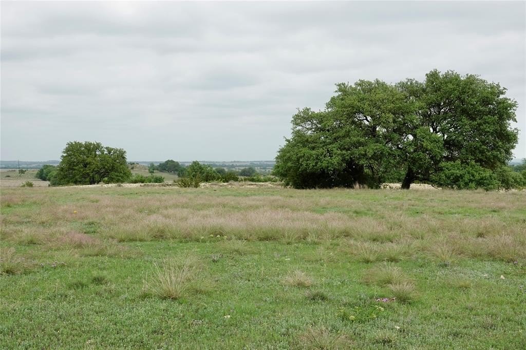 Picture 23