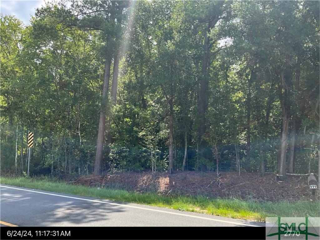 Wooded Acreage in Guyton, Georgia